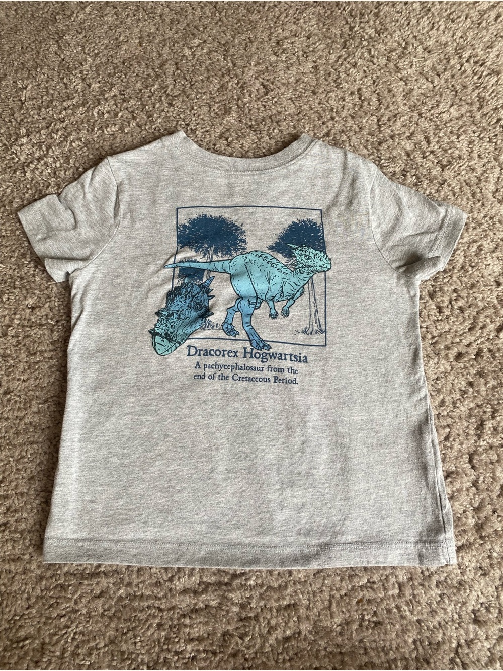 Carter's Light Gray Tee with blue Dinosaur Graphic